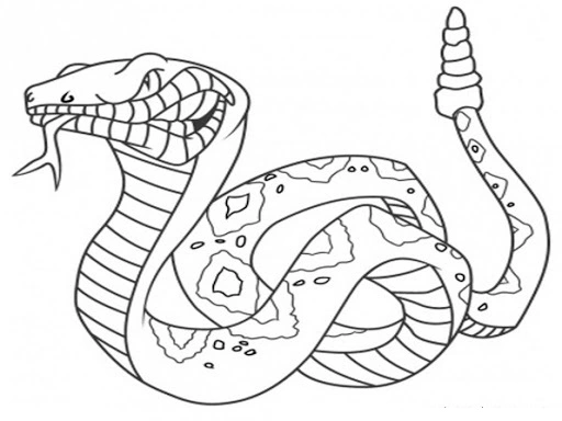 Angry anaconda coloring page